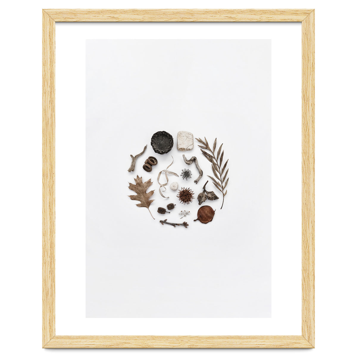 Treasures From Nature No. 2