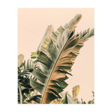 Growing Green Alicia Bock (Print Only) thumbnail