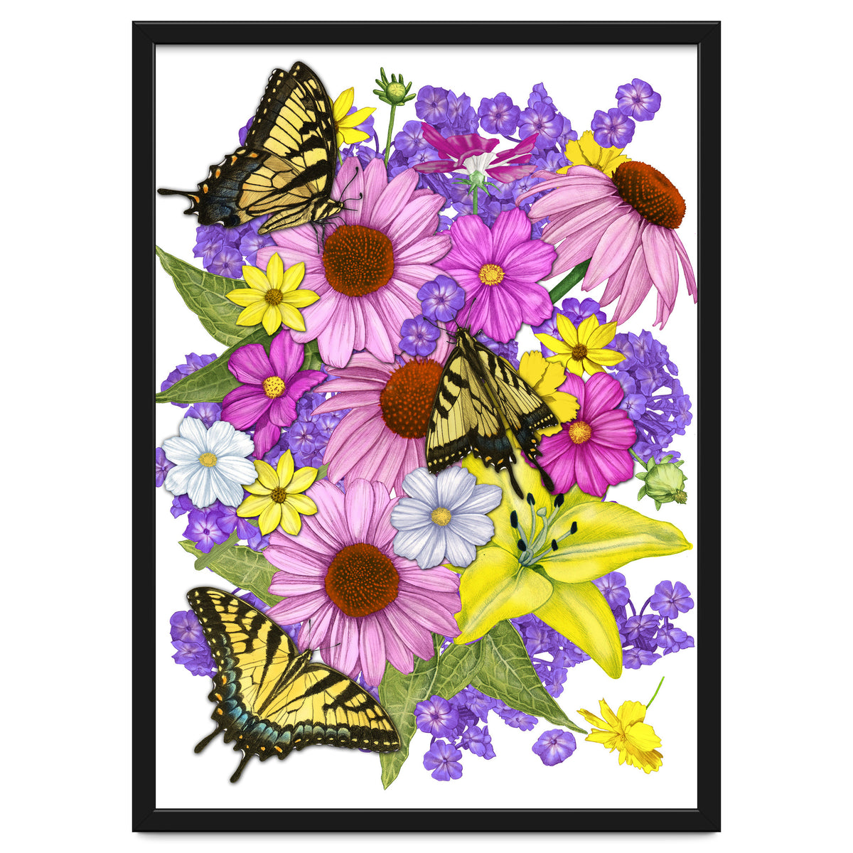 Corn Flowers and Swallowtails