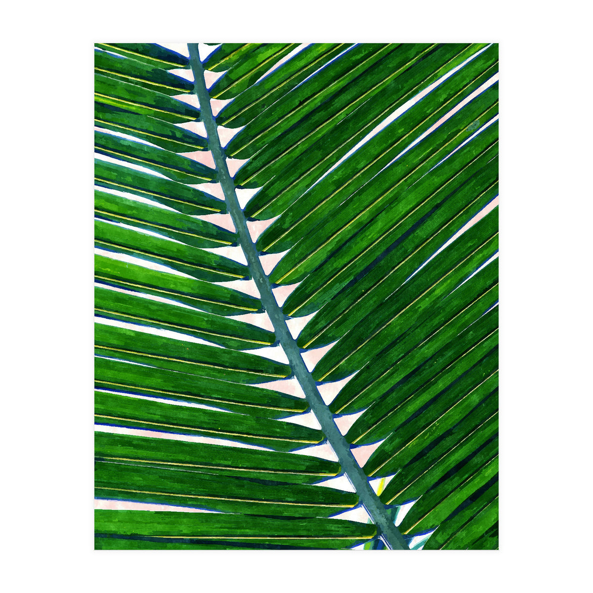 Foliage V3 (Print Only)