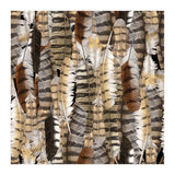 Owl Feathers (Print Only) thumbnail