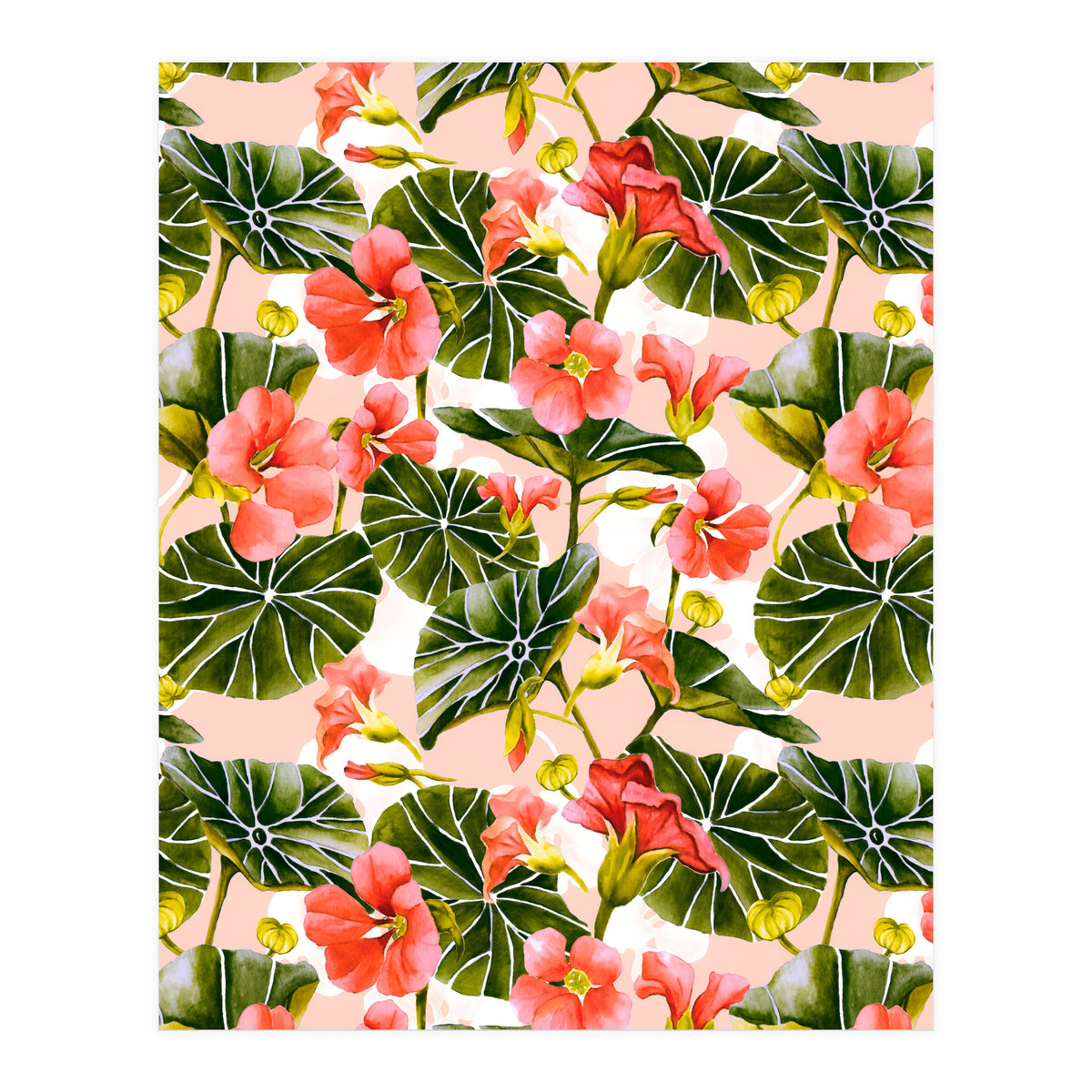 Nasturtiums watercolor 03 (Print Only)