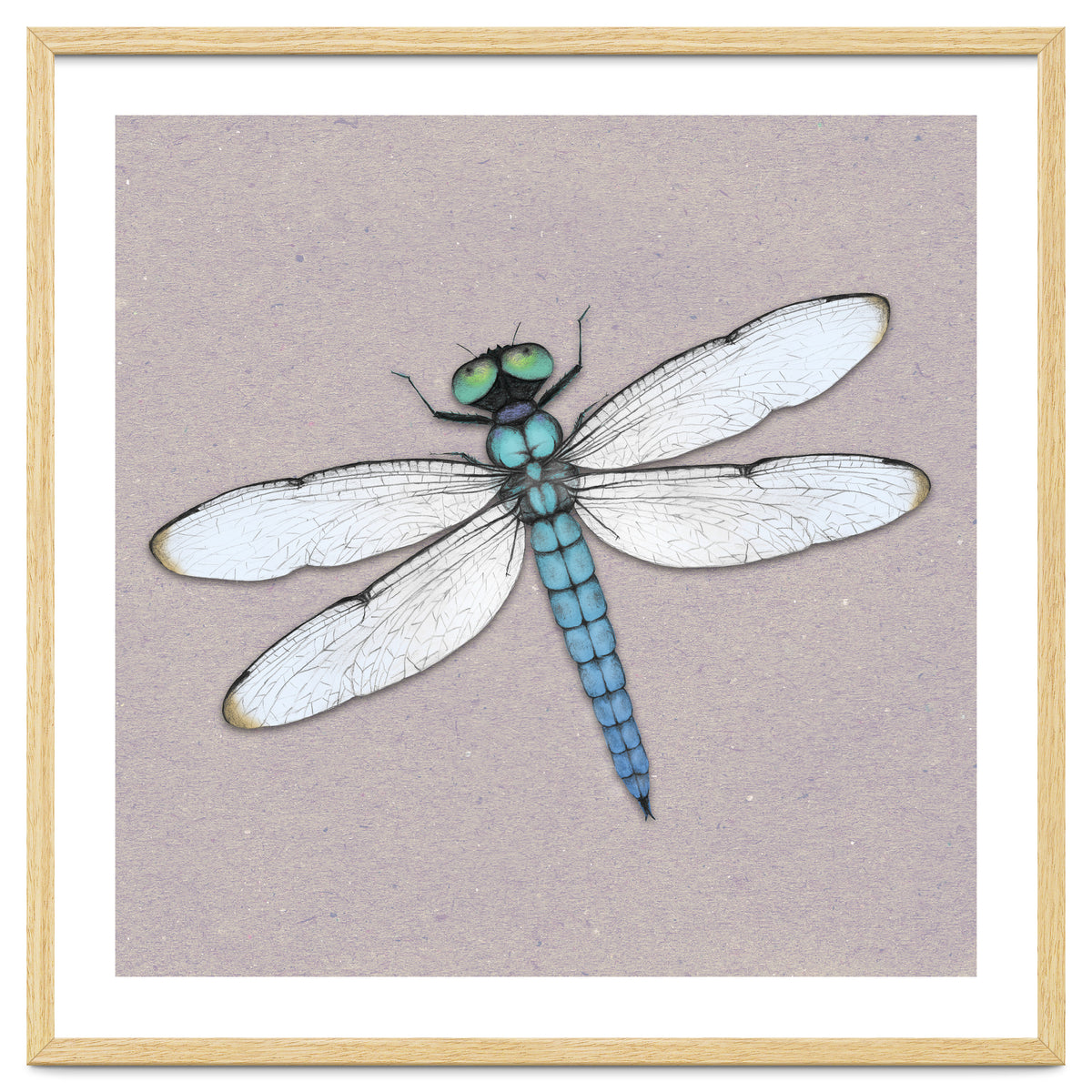 Blue dragonfly