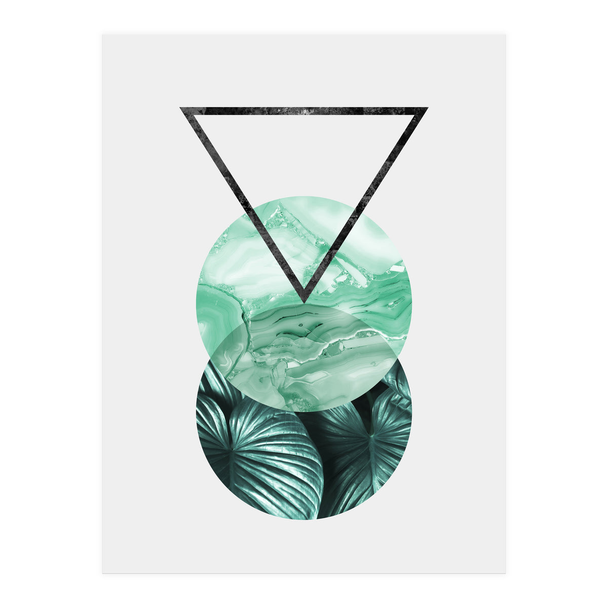 Botanical and geometric II (Print Only)