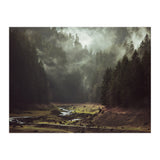 Foggy Forest Creek (Print Only) thumbnail