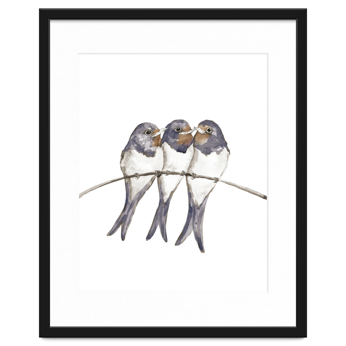 Three young swallows