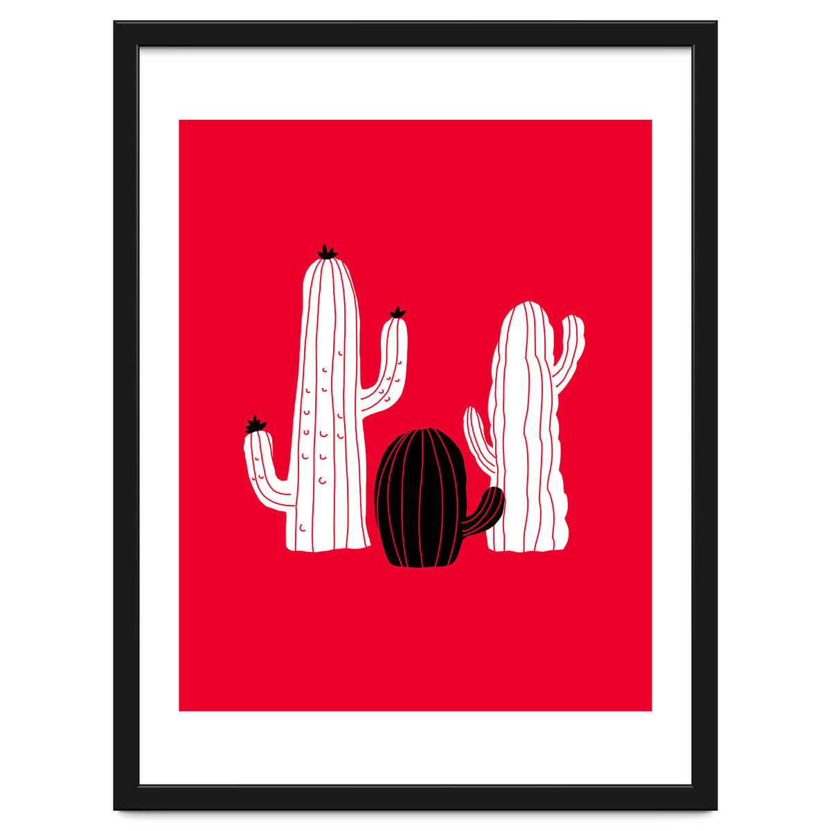 Cactus