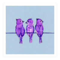 Three purple birds (Print Only)
