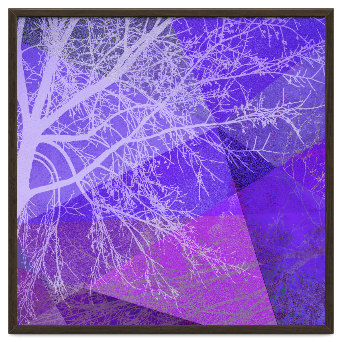 P19-D2 Trees and Triangles