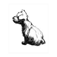 Little Dog (Print Only)