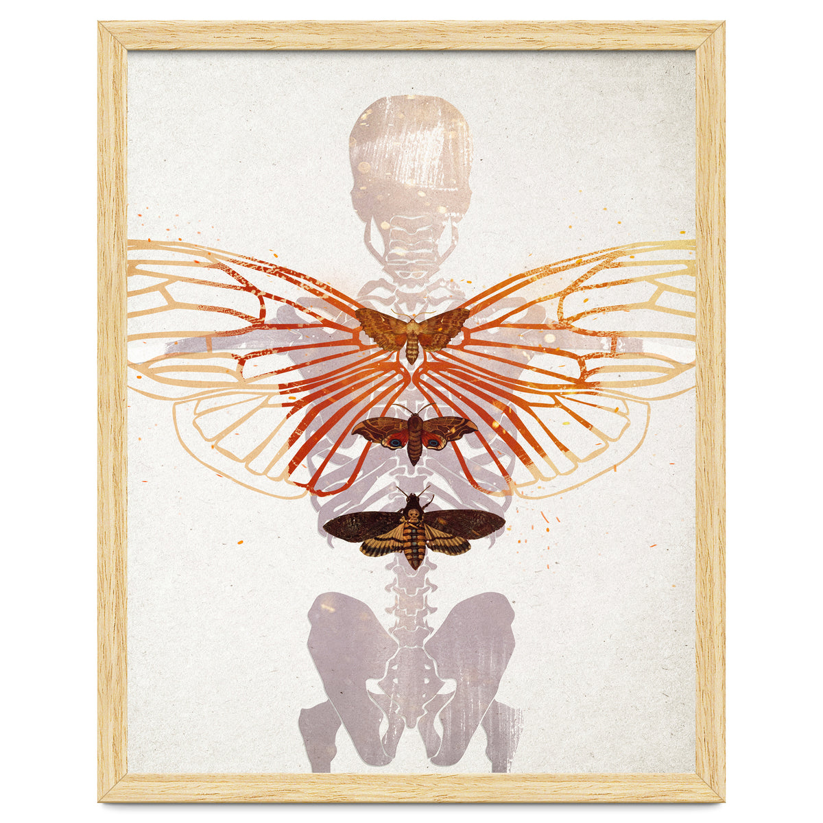 Ikarus - Like a Moth to the Flame