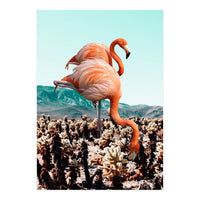 Flamingos In The Desert (Print Only)