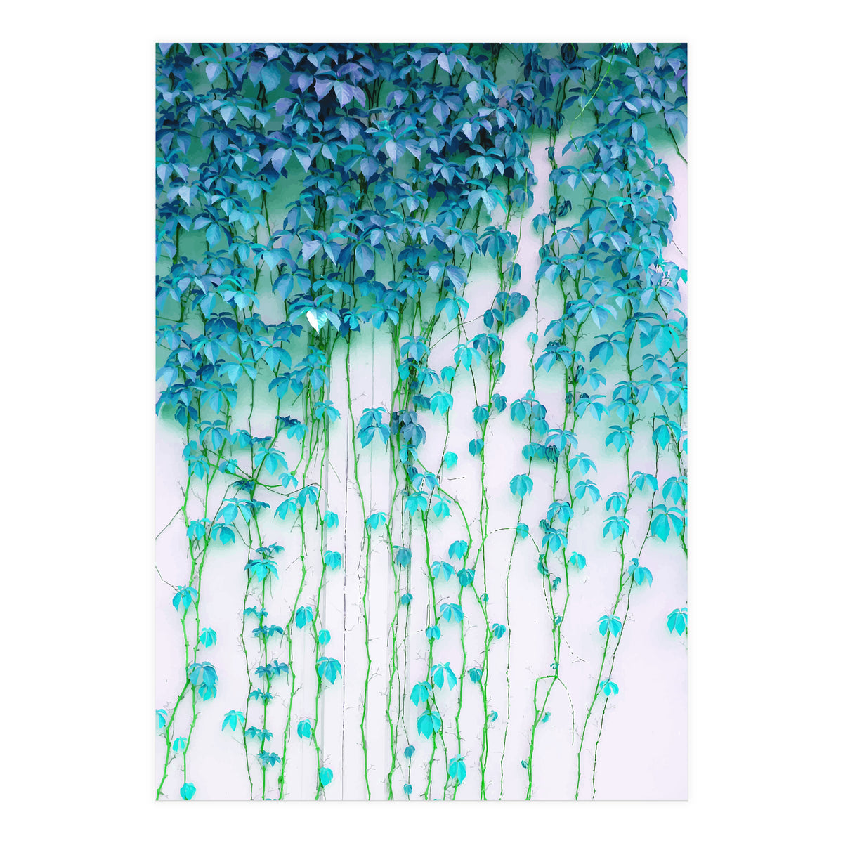 Average Absence, Botanical Minimal Nature Creepers Plants, Tropical Watercolor Bohemian Painting (Print Only)