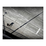 Cyclist (Print Only) thumbnail