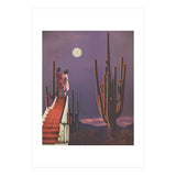 Under Desert Skies (Print Only) thumbnail