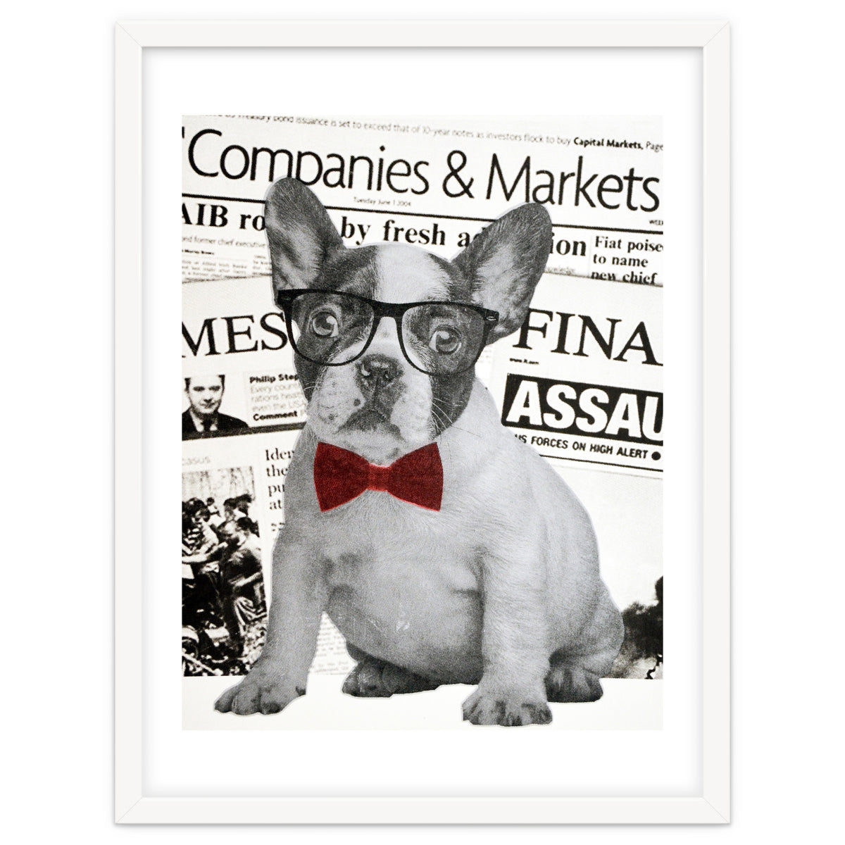 The Dog Of Wall Street