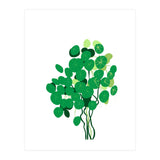 Pilea (Print Only) thumbnail