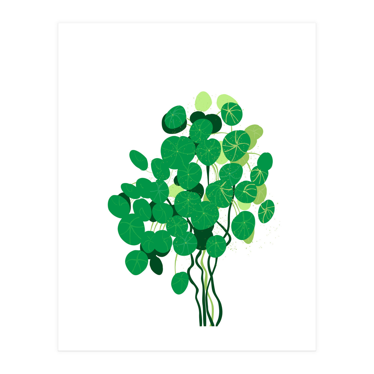 Pilea (Print Only)