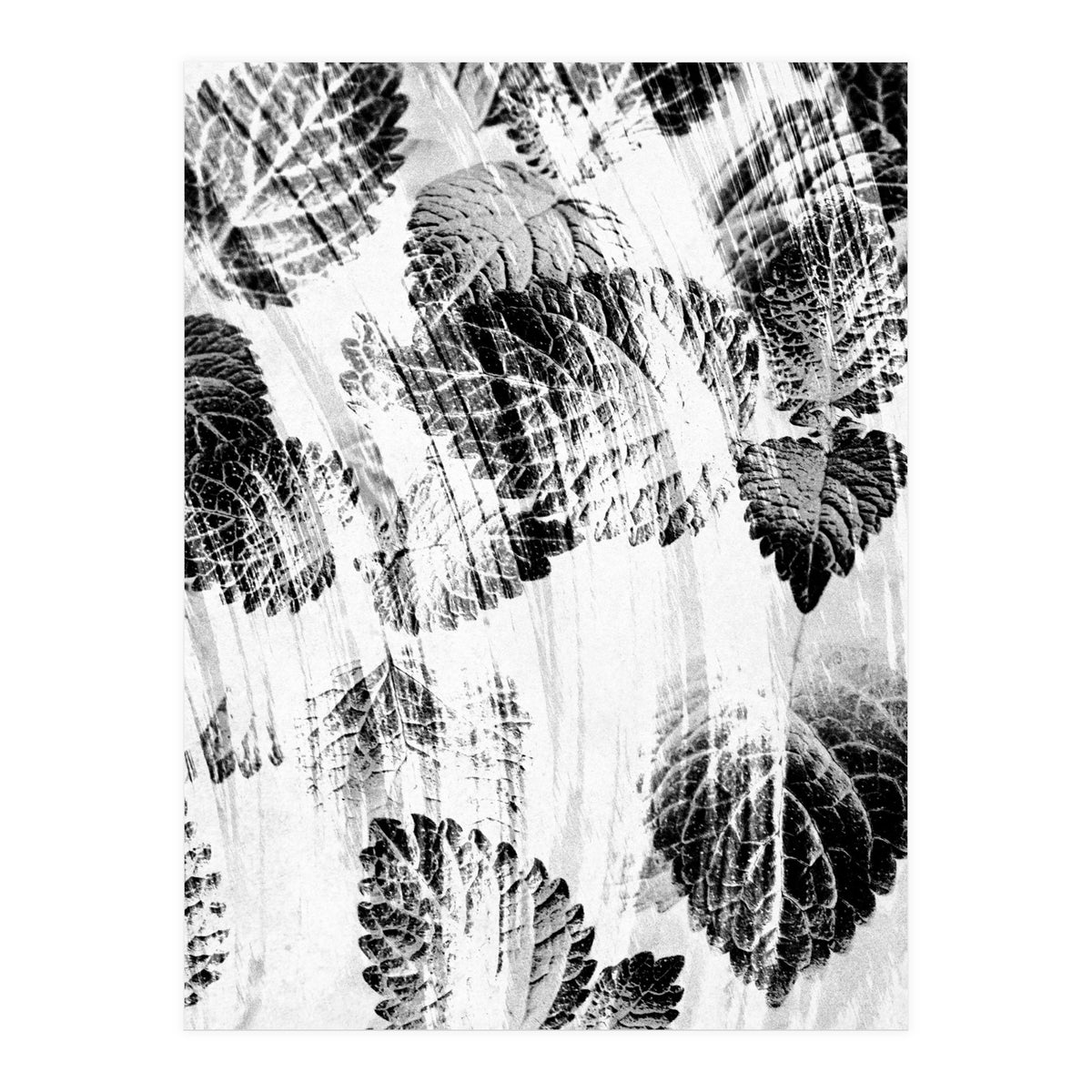 Raining Forest No6 (Print Only)