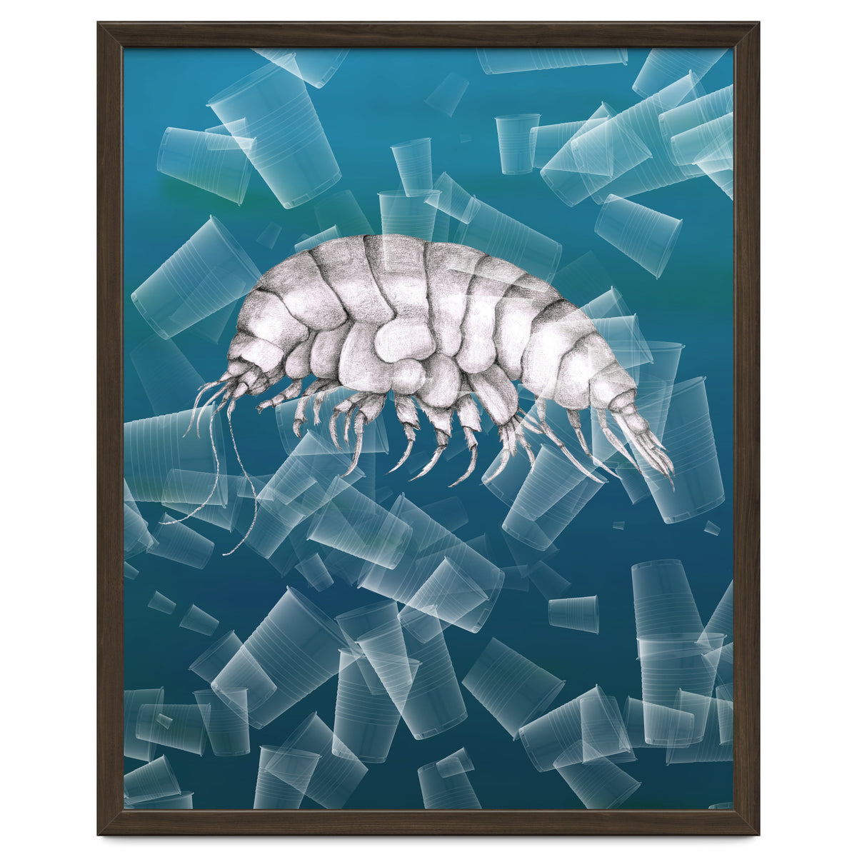 Eurythenes Plasticus