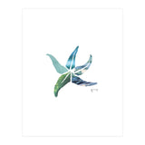Starfish (Print Only) thumbnail