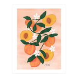 Summer Peaches (Print Only) thumbnail