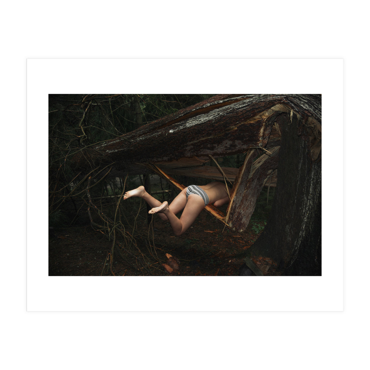 Don’t go There, It’s a Trap (Print Only)