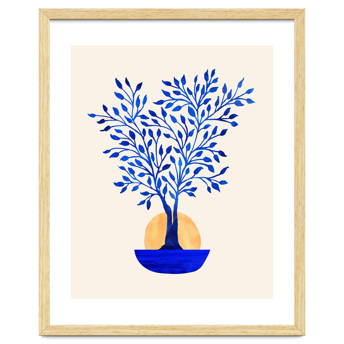 Indigo Ficus Sunrise