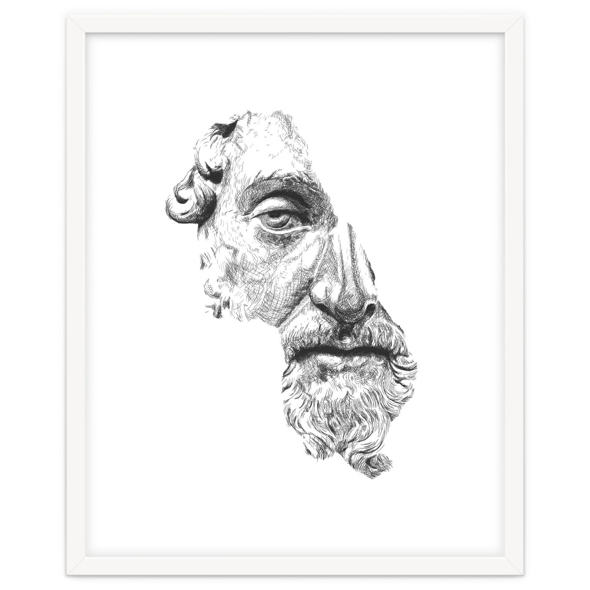 MARCUS AURELIUS ANTONINUS AUGUSTUS / black and white