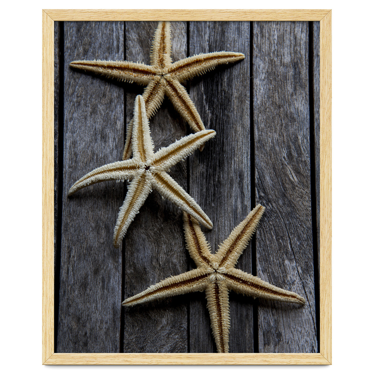 Starfishes in wooden