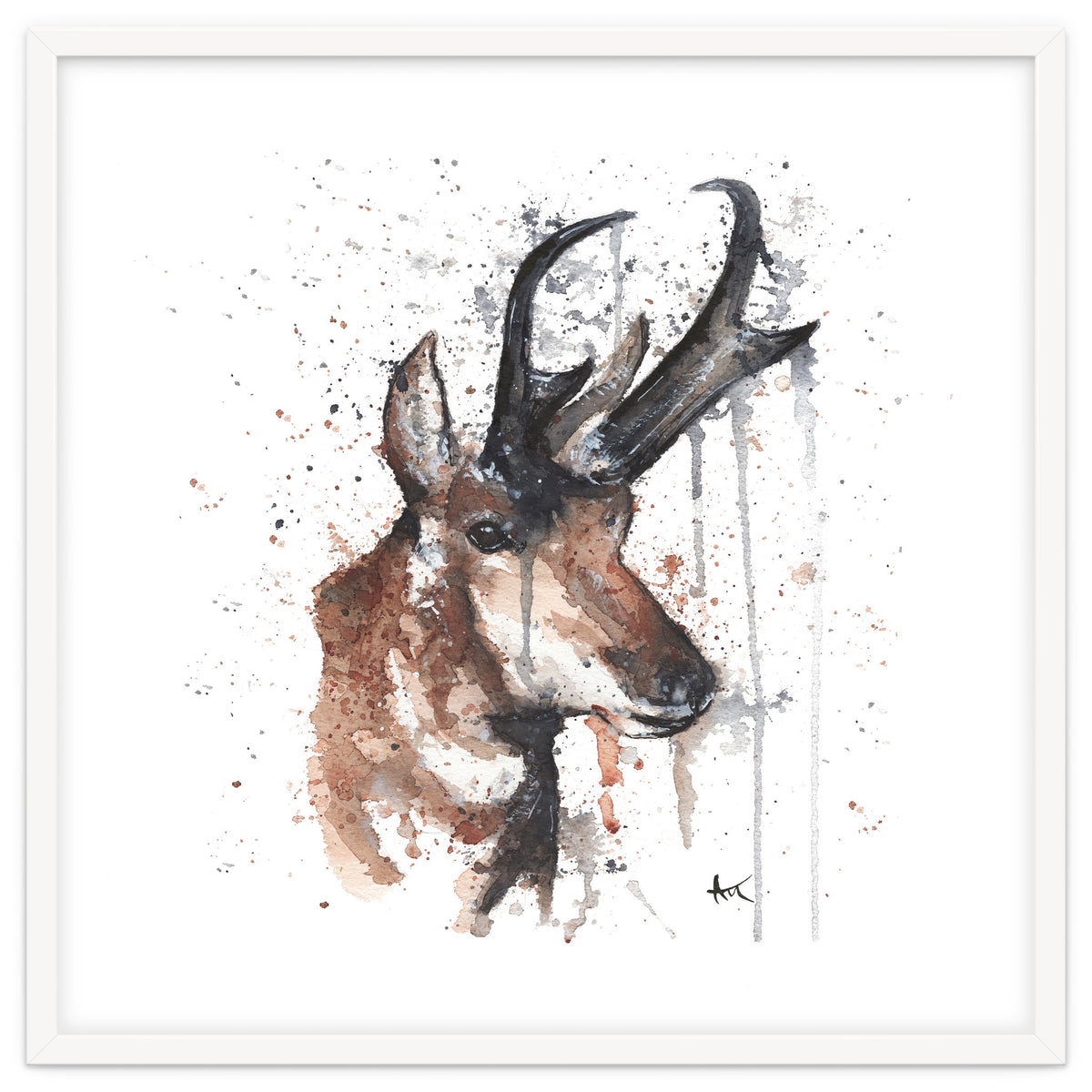 Red deer - Wildlife Collection