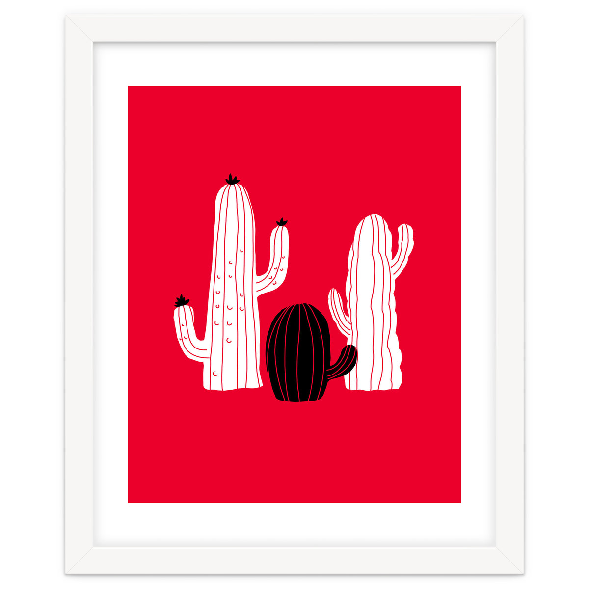 Cactus