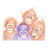 Orangutan Babies (Print Only) thumbnail