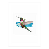 Modern Hummingbird II (Print Only) thumbnail
