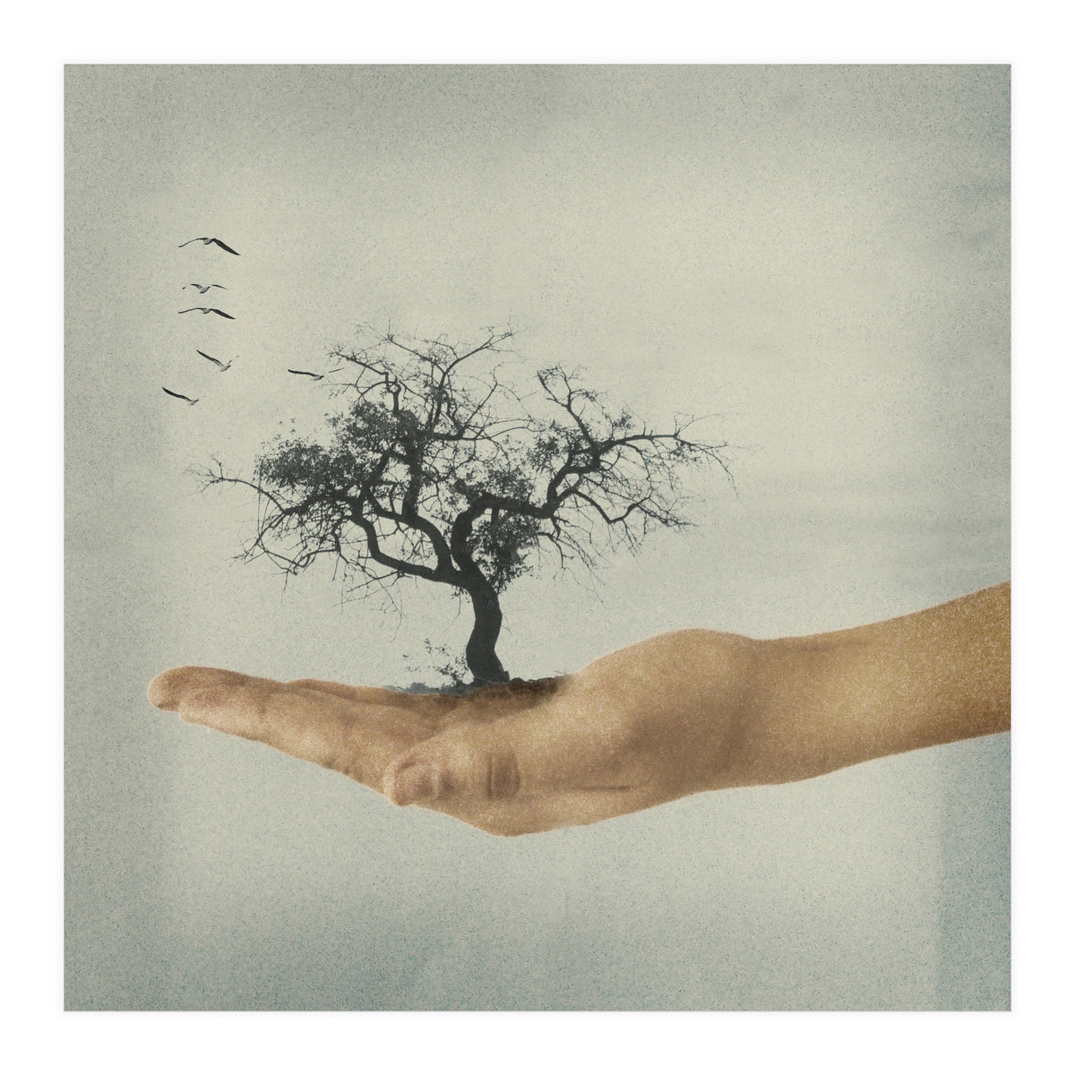 Its All In Your Mind (Print Only)