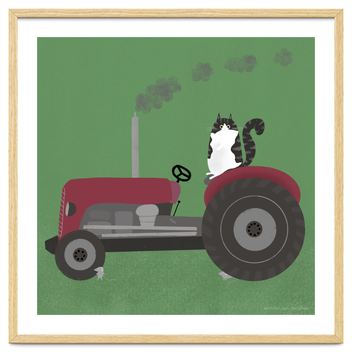 Cat 84: The farm cat