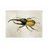83 (Print Only) thumbnail