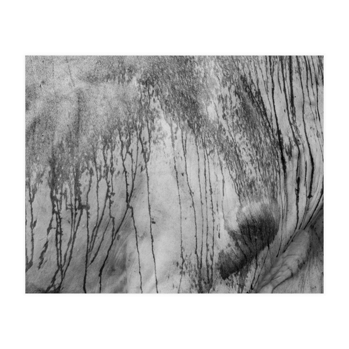 Abstract #2 (Print Only)