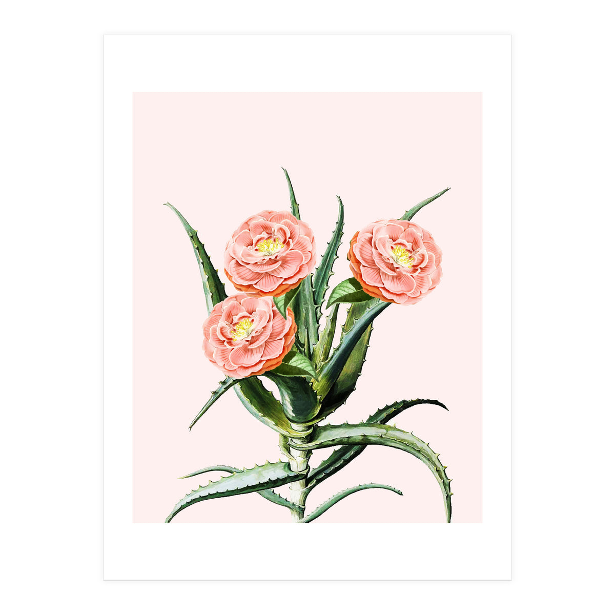 Blush Cactus V2 (Print Only)