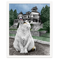 Mackinac Island Cat