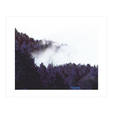Mystery Fog (Print Only) thumbnail