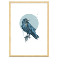 Blue Crow