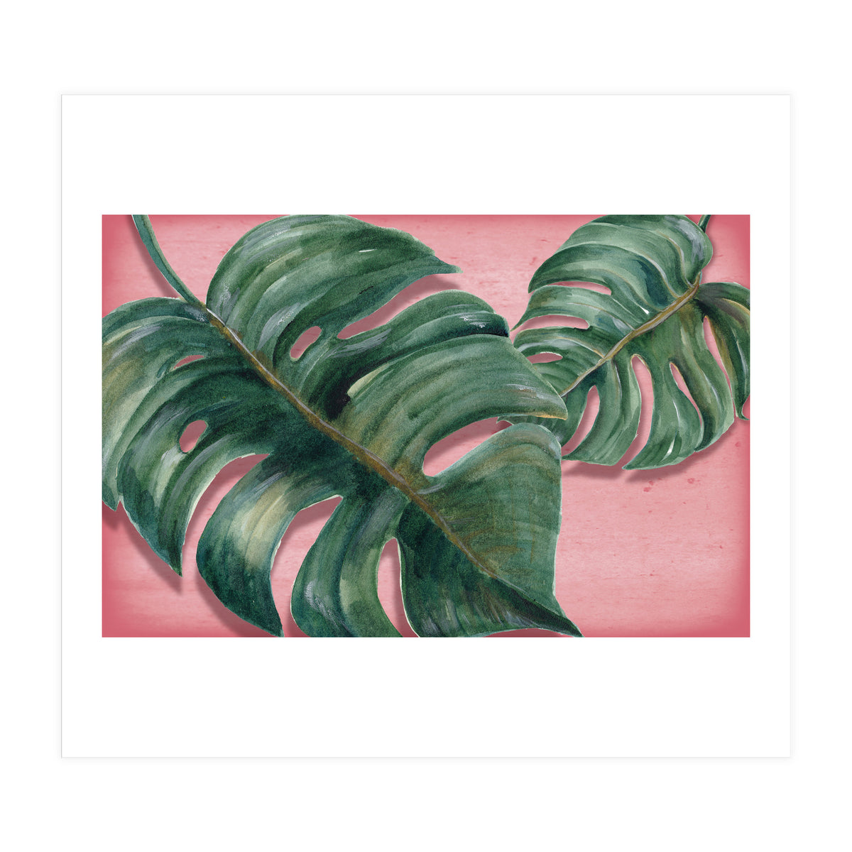 Monstera Leaf (Print Only)