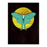 Luna Moth Moon (Print Only) thumbnail