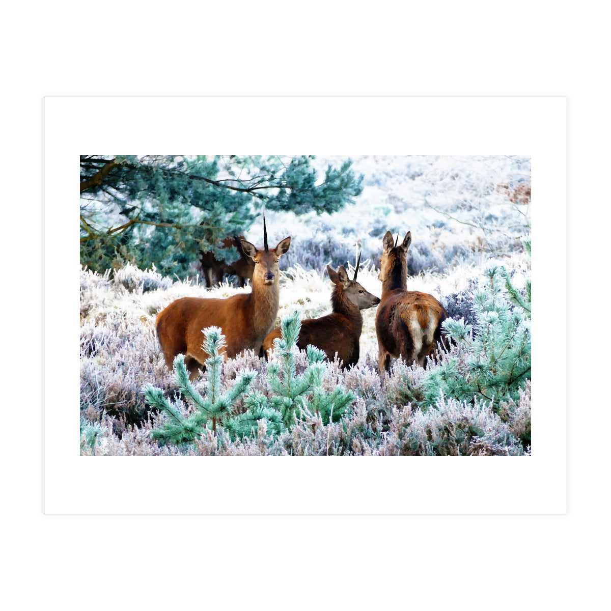 Unicorn Deer (Print Only)