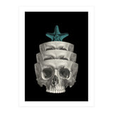 teschio (Print Only) thumbnail