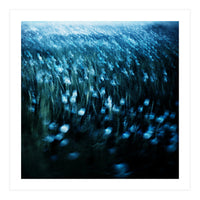 dandelion meadow (Print Only)