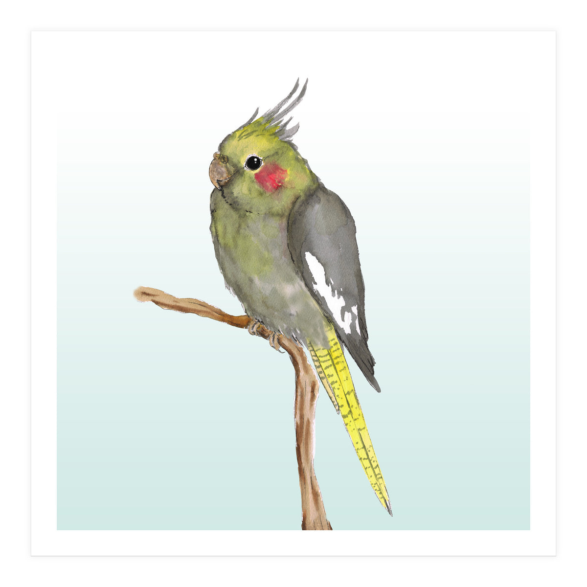 Cute cockatiel 	 (Print Only)
