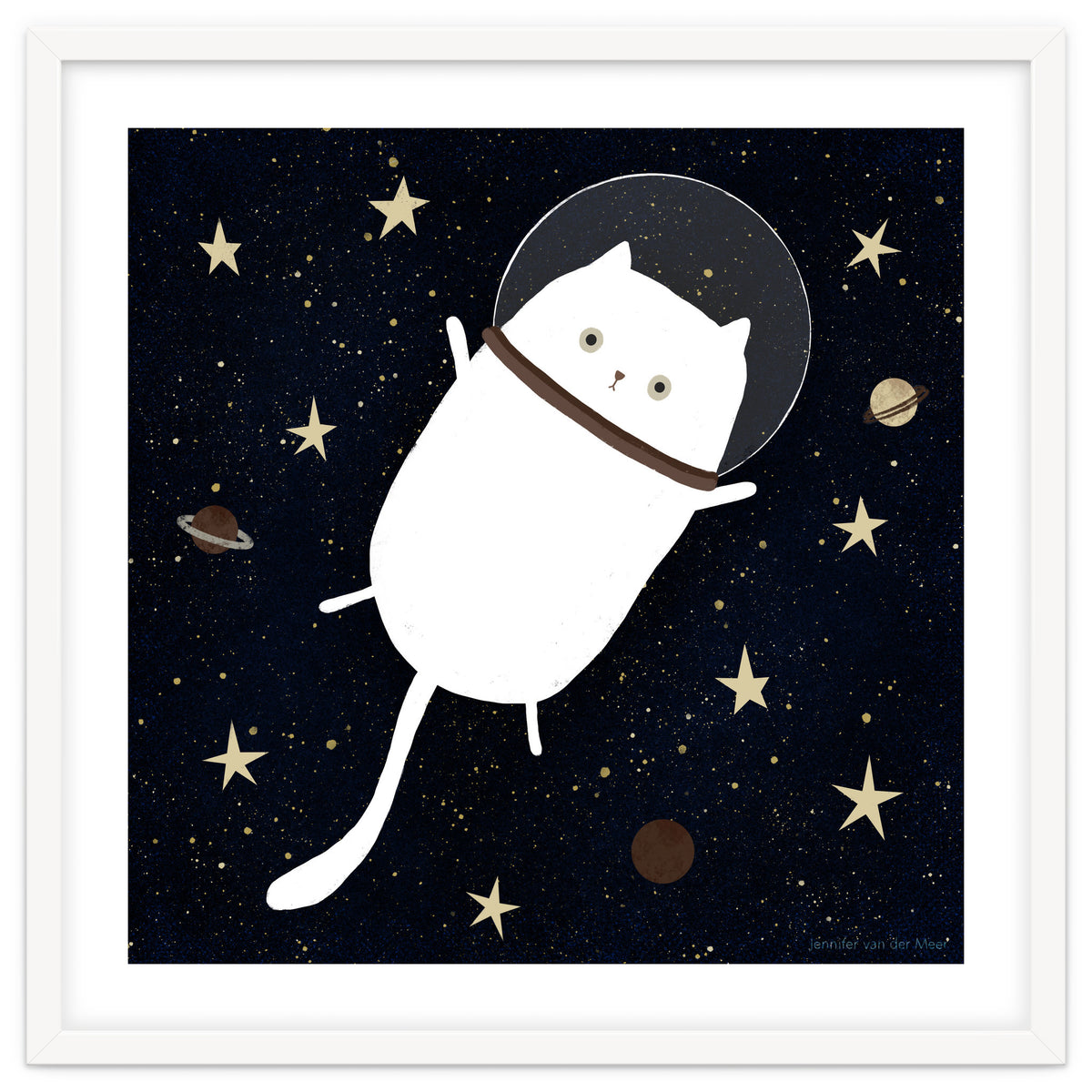 Cat 32: Cats in space!