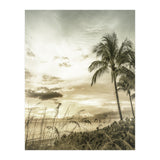 BONITA BEACH Bright Sunset | Vintage (Print Only) thumbnail
